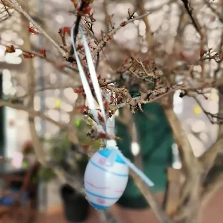 Dairos Appartement Mali Lošinj