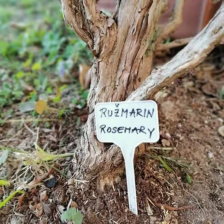 Appartamento Dairos Mali Lošinj
